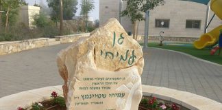 פיסול סביבתי